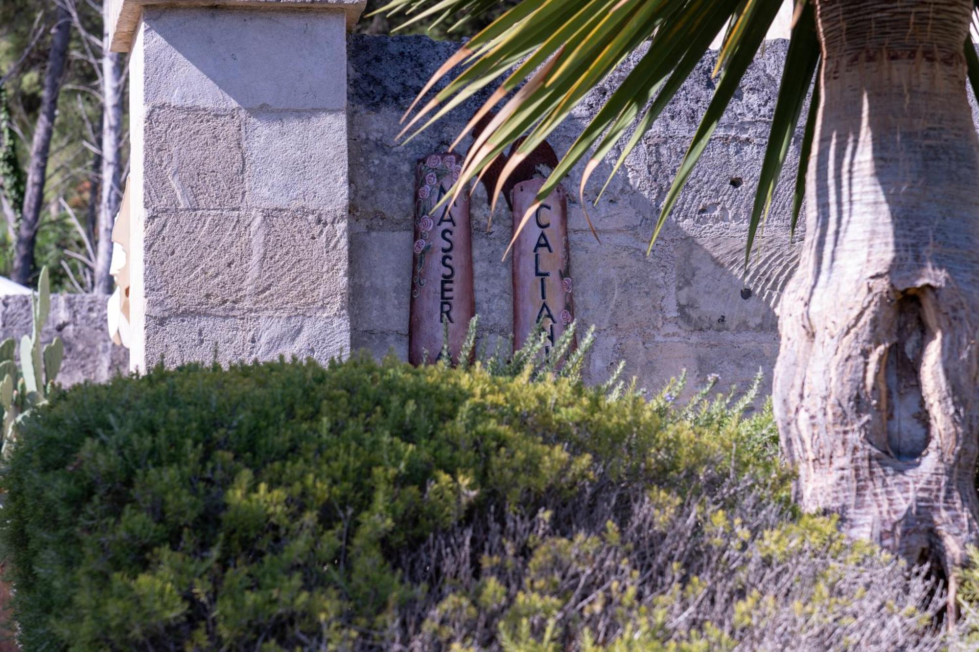 Masseria Caliani بورغوني المظهر الخارجي الصورة